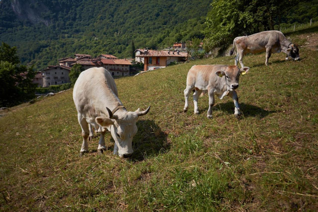 Le Terre Di Gu Villa Tenno Kültér fotó